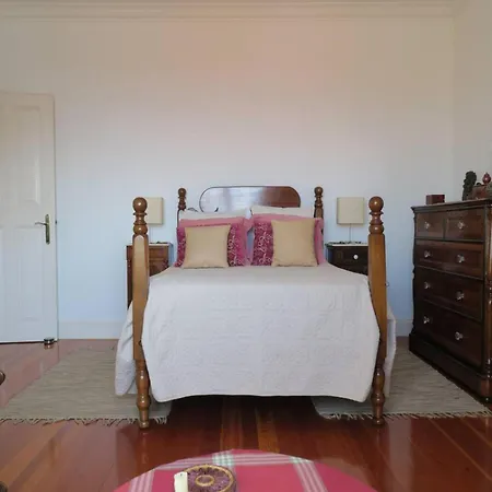 Luxury Villa In City Center Private Pool Funchal (Madeira)